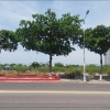 BÁN ĐẤT BIỆT THỰ KĐT VĨNH HÒA NHA TRANG